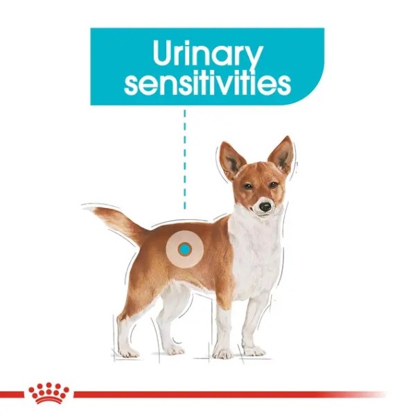 Royal Canin Dog Urinary Care Loaf - Пълноценна мокра храна в пауч за кучета, с предразположеност към уринарна чувствителност